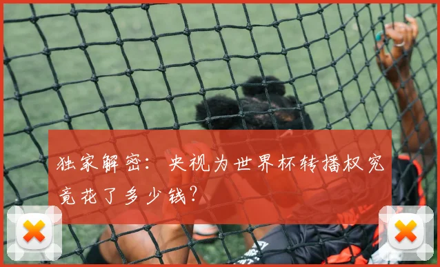 独家解密：央视为世界杯转播权究竟花了多少钱？