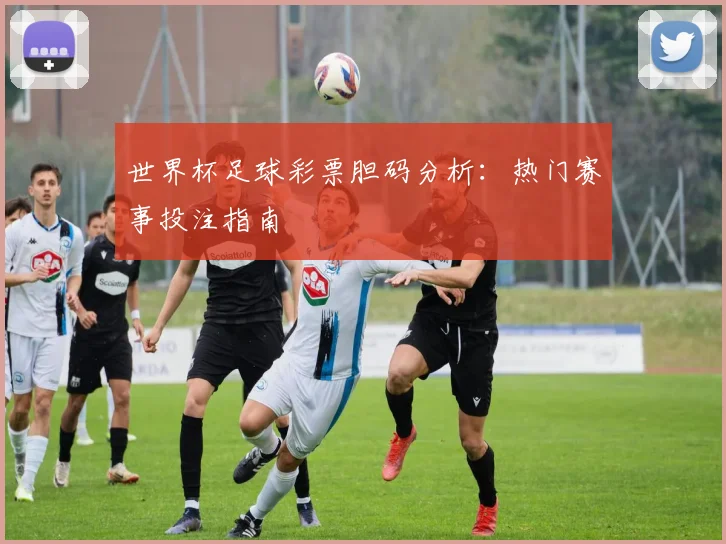 世界杯足球彩票胆码分析：热门赛事投注指南