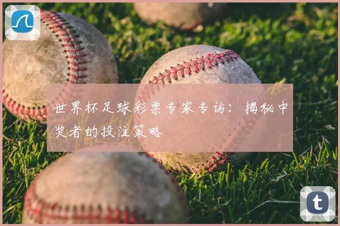 世界杯足球彩票专家专访：揭秘中奖者的投注策略