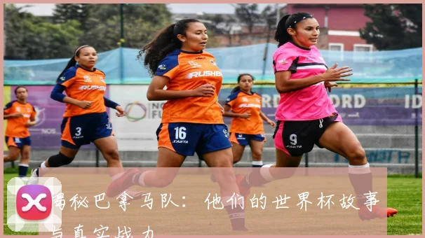 揭秘巴拿马队：他们的世界杯故事与真实战力