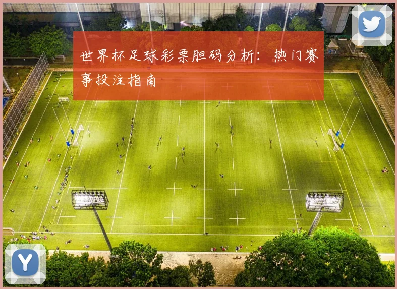 世界杯足球彩票胆码分析：热门赛事投注指南
