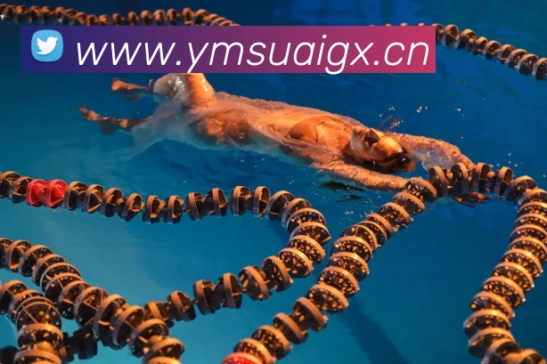 九游体育手机官网入口服务体系